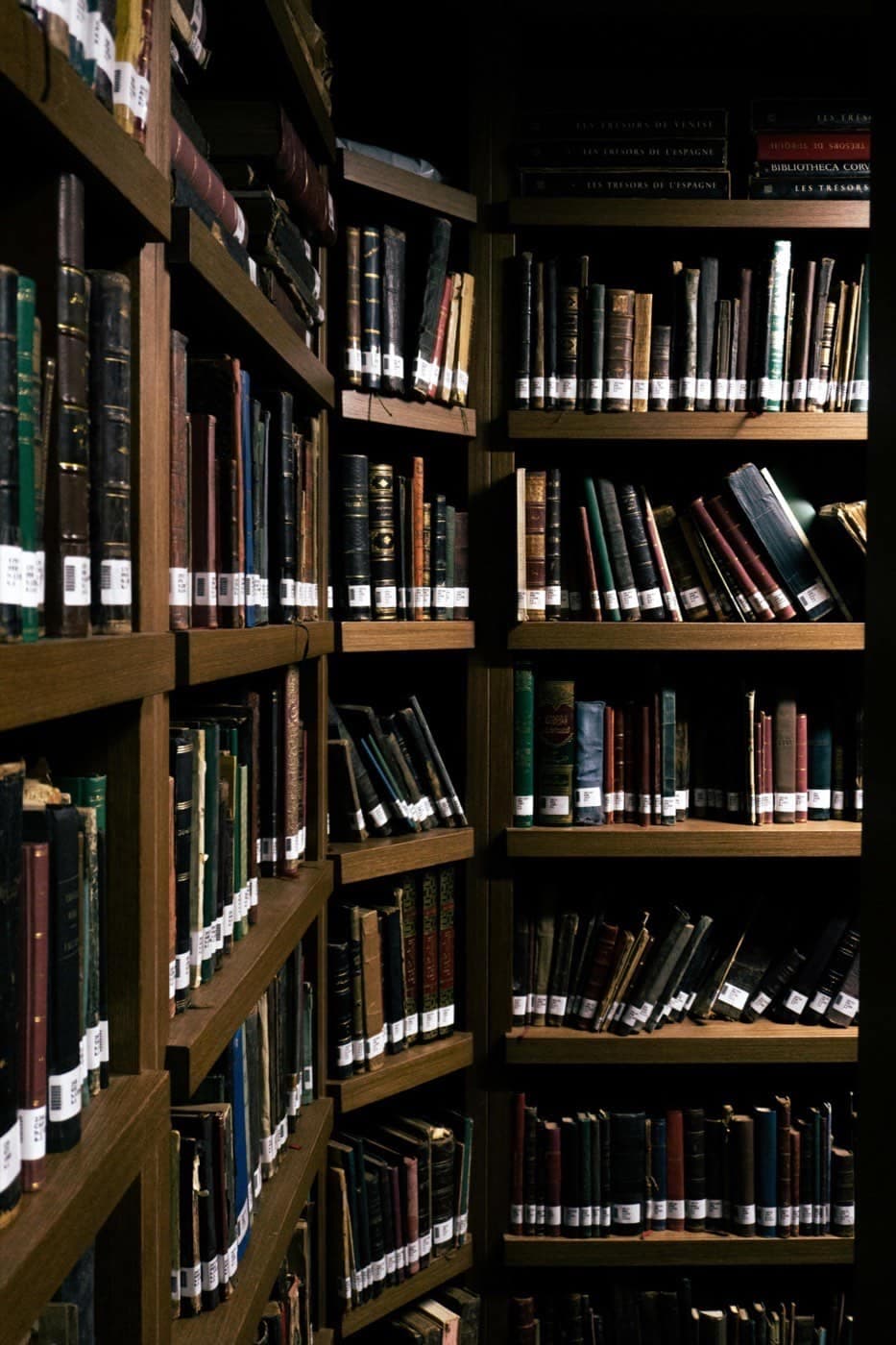 رفوف مكتبة تاريخية تعبّر عن استمرارية التقليد العلمي